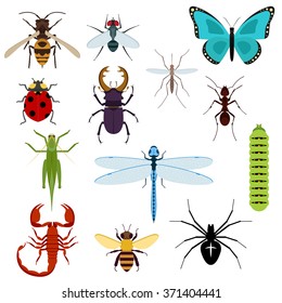 Colorful top view insects icons with bee, grasshopper, ant, fly, dragonfly and ladybird, spider and mosquito, caterpillar, stag beetle and scorpion. Isolated on white