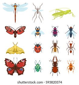 Colorful top view insects icons isolated on white wildlife wing detail summer worm and caterpillar bugs wild spider bee vector illustration.