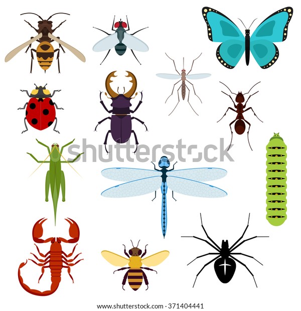 Colorful Top View Insects Icons Bee Stock Vector (Royalty Free) 371404441