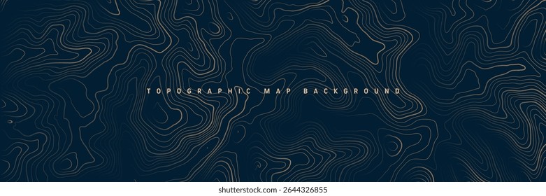 Mapa topográfico colorido com linhas de contorno. Grade do terreno geográfico, elevação da altura do relevo. Padrão de caminho de terra. Viagens e navegação, elemento de design cartográfico. Ilustração vetorial