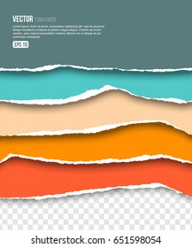 Colorful torn paper collection.Vector design elements