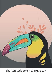 Colorful toucan bird beautiful draw