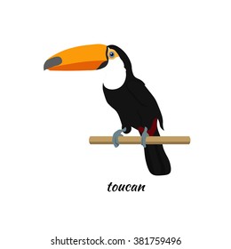 Colorful toucan in flat style
