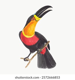 Colorful toucan illustration with a vibrant beak. The toucan sits on a branch, showcasing its bright plumage. A lively toucan with a striking beak design. Vintage animal illustration, vector isolated.