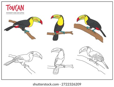 Ilustrações coloridas de tucano capturadas em várias poses em galhos mostrando detalhes vibrantes em um estilo minimalista. Conceito de natureza