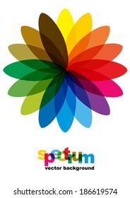 colorful transparent flower in rainbow colors