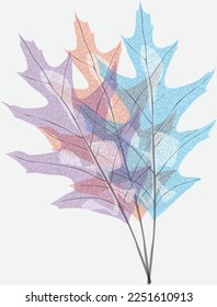Colorful transparent leaves one of each other covering one of each other