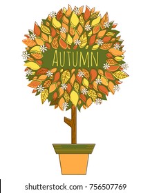 Colorful tree in autumn. Vector flat illustration.