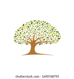 Colorful Tree with elegant branch logo vector