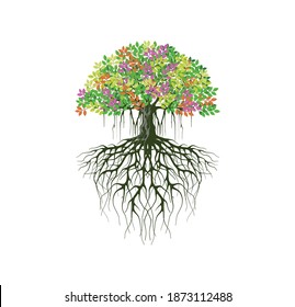 Colorful tree logo design, banyan tree and roots with vector illustrations.