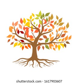 Colorful tree and root leaves on a white background, vector illustration