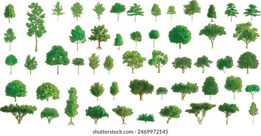 Colorful Tree Set on White Background - Vector EPS