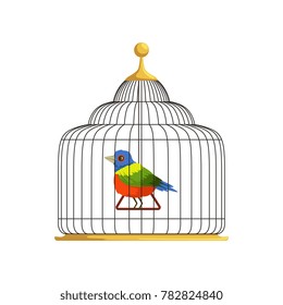 Colorful tropical bird sitting on triangle swing in antique hanging cage. Home for feathery creation. Flat vector design for infographic, website or poster