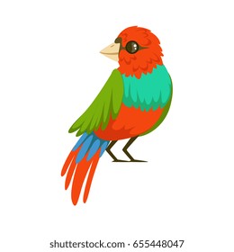 Colorful tropical bird vector Illustration