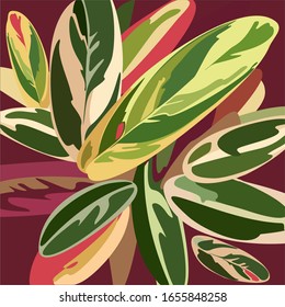 colorful tropical botanical leaves background