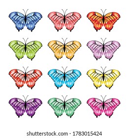 Colorful tropical butterflies set. Vector illustration.