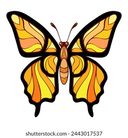 Colorful tropical butterfly vector illustration.