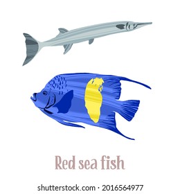 Colorful tropical fish of the Red Sea, Pacific and Indian Oceans, lives near corals. Hand drawn isolated fishes with dry brush texture. Vector decorative illustration in trendy flat style.