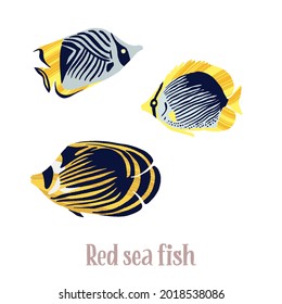 Colorful tropical fish of the Red Sea, Pacific and Indian Oceans, lives near corals. Hand drawn isolated fishes with dry brush texture. Vector decorative illustration in trendy flat style.