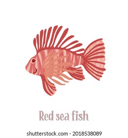 Colorful tropical fish of the Red Sea, Pacific and Indian Oceans, lives near corals. Hand drawn isolated fishes with dry brush texture. Vector decorative illustration in trendy flat style.