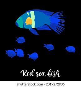 Colorful tropical fish of the Red Sea, Pacific and Indian Oceans, lives near corals. Hand drawn isolated fishes with dry brush texture. Vector decorative illustration in trendy flat style.