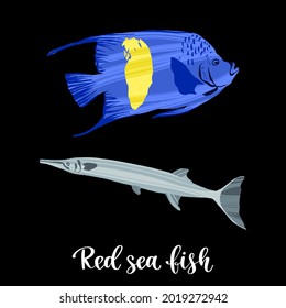 Colorful tropical fish of the Red Sea, Pacific and Indian Oceans, lives near corals. Hand drawn isolated fishes with dry brush texture. Vector decorative illustration in trendy flat style.