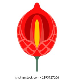 Colorful tropical flower icon. Vector illustration design