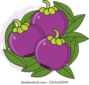 colorful tropical fruit vector illustration of mangosteen. good for school presentation, animation,health food,children book  ready to print,coloring book,kindergarten,pre-school,invitation,character