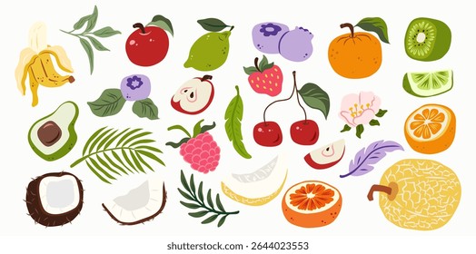 Vetor de frutas tropicais colorido definido com banana desenhada à mão, maçã, cereja, framboesa, cal, coco, quivi, melão, abacate, mirtilo, fatias de citrinos, folhas e flores em design de doodle plano