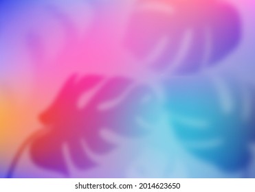 Colorful Tropical Gradient Background. Abstract Vector with  Tropical Elements Overlay. Blurred Monstera Leaves