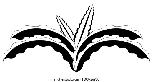 Colorful tropical leaf icon. Vector illustration design
