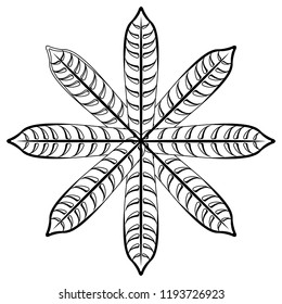 Colorful tropical leaf icon. Vector illustration design