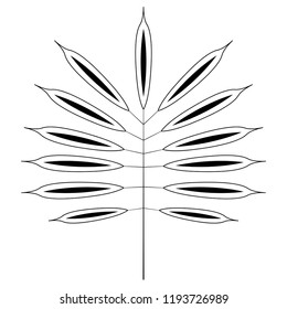 Colorful tropical leaf icon. Vector illustration design