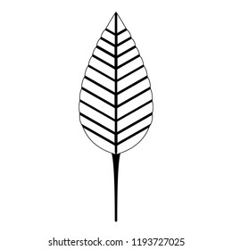 Colorful tropical leaf icon. Vector illustration design