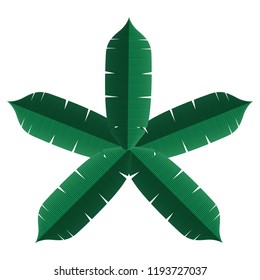 Colorful tropical leaf icon. Vector illustration design