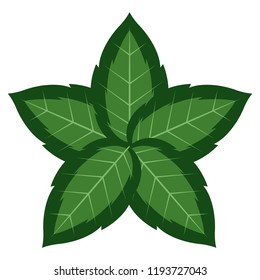 Colorful tropical leaf icon. Vector illustration design