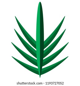 Colorful tropical leaf icon. Vector illustration design