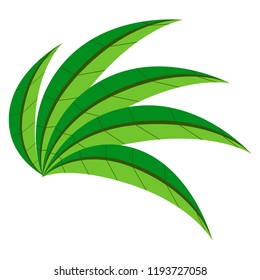 Colorful tropical leaf icon. Vector illustration design