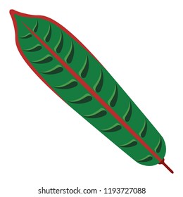 Colorful tropical leaf icon. Vector illustration design