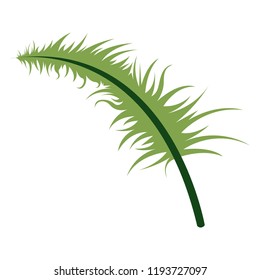 Colorful tropical leaf icon. Vector illustration design