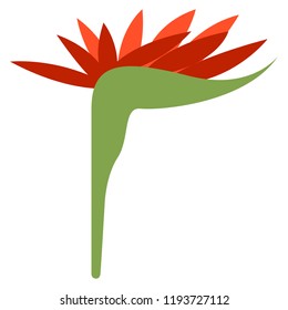 Colorful tropical leaf icon. Vector illustration design