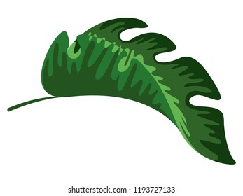 Colorful tropical leaf icon. Vector illustration design