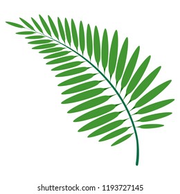 Tropical Palm Leaves Set Hand Drawn Stock Vector (Royalty Free) 1203451483