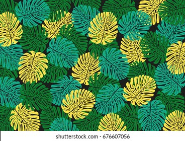Colorful Tropical Leaves Vector Rectangle Black Background