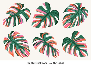 Folhas tropicais coloridas com vetor definido. Monstera, folha de palma, design de folhas botânicas e de selva para o fundo da natureza, pano de fundo, capa trópica, banner de verão, papel de parede, elementos, padrão e impressões.