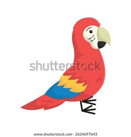 Colorful tropical macaw bird. Vector illustration