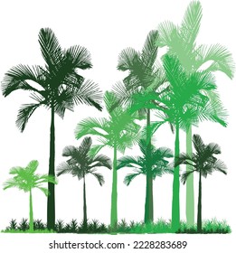 Colorful Tropical Palms Vector Design