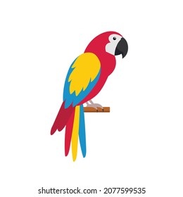 Colorful tropical parrot isolated on white background.  Red macaw parrot. Tropical birds. Vector stock