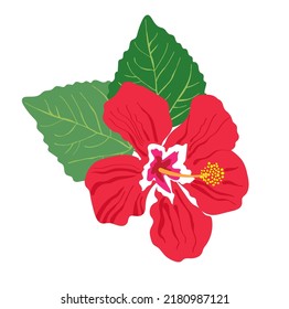 Colorful tropical placement print vector illustration with bright red single flower and leaves. Vacation getaway summer vibes