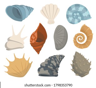 Colorful tropical sea shells underwater icon collection. Marine set cute stickers on the white background. Vector illustration. Perfect for invitations, greeting cards posters banners and flyer